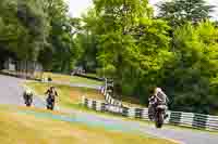 cadwell-no-limits-trackday;cadwell-park;cadwell-park-photographs;cadwell-trackday-photographs;enduro-digital-images;event-digital-images;eventdigitalimages;no-limits-trackdays;peter-wileman-photography;racing-digital-images;trackday-digital-images;trackday-photos